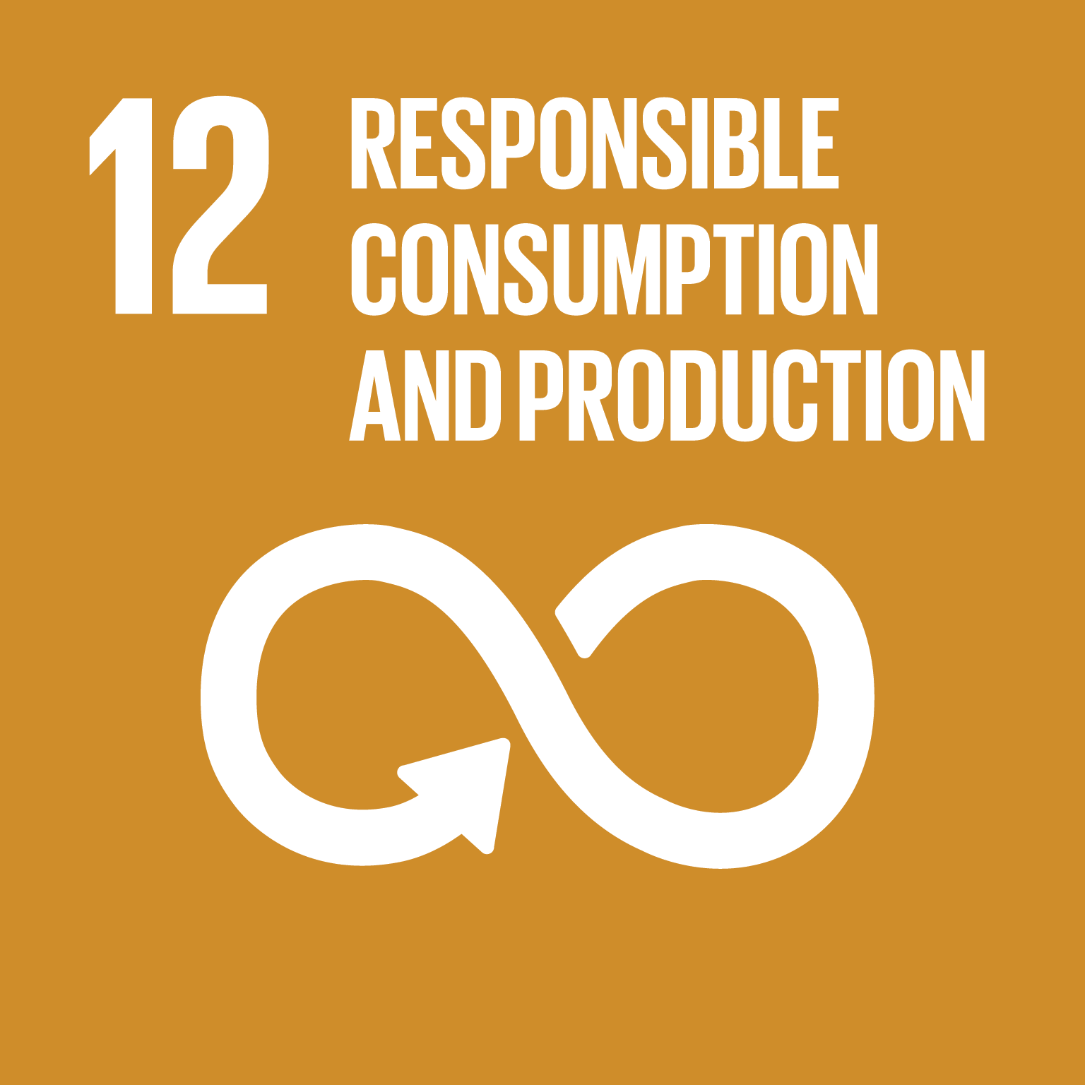 12) Responsible Consumption and Production