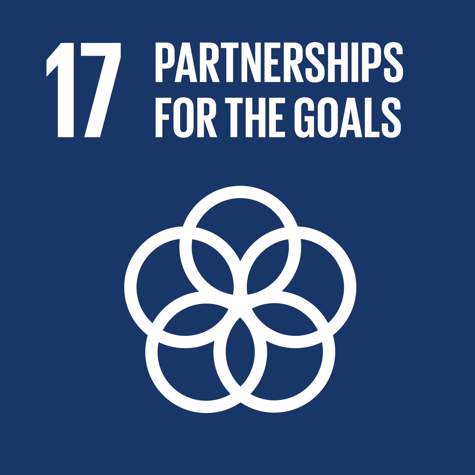 17) Partnerships for the Goals